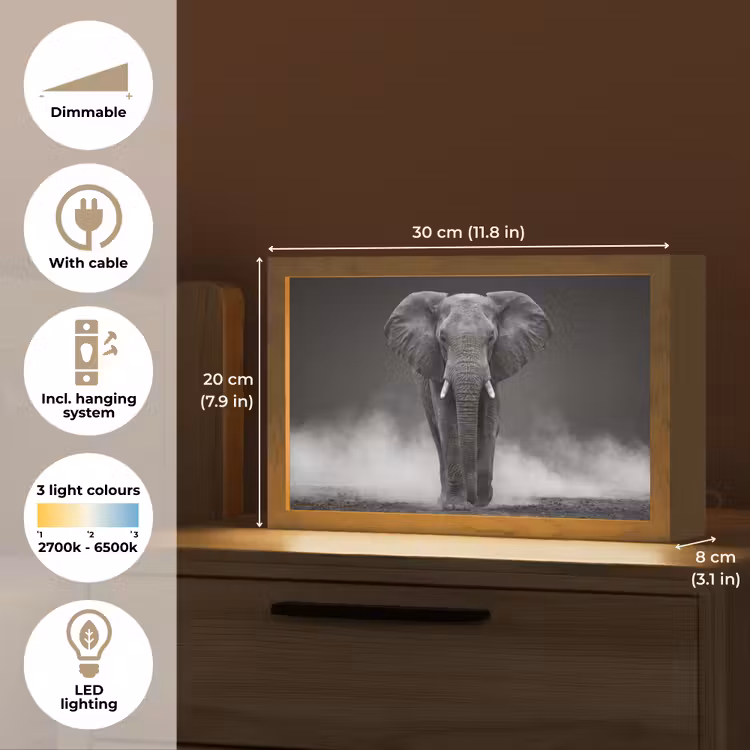 Olifant - Zwart - Wit - Rook Light Box met kabel (Tafellamp) klein -USP_EN