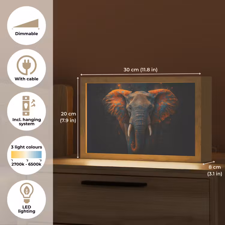Olifant - Oranje - Oren Light Box met kabel (Tafellamp) klein -USP_EN