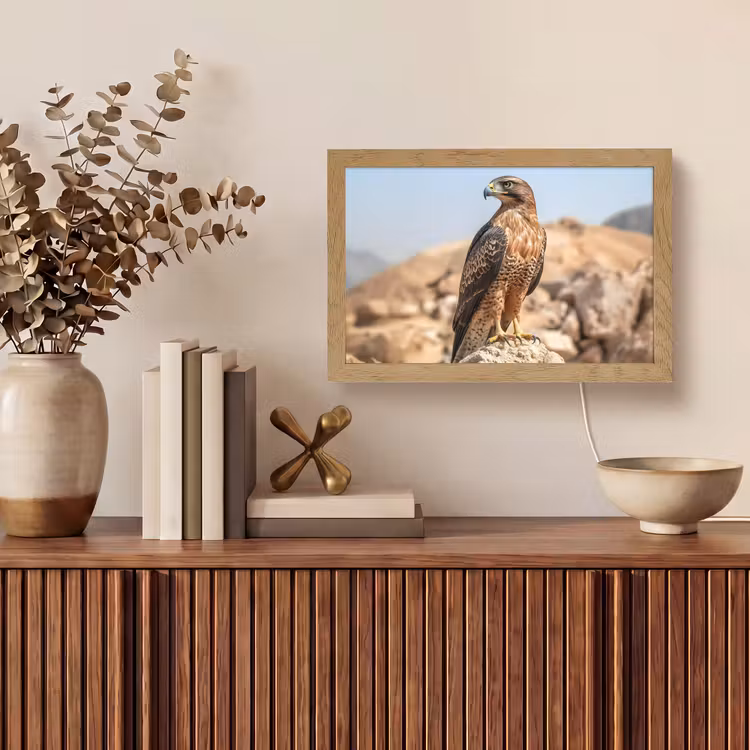 Valk - Vogel - Rots - Macht Light Box met kabel (Tafellamp) klein -sfeer2