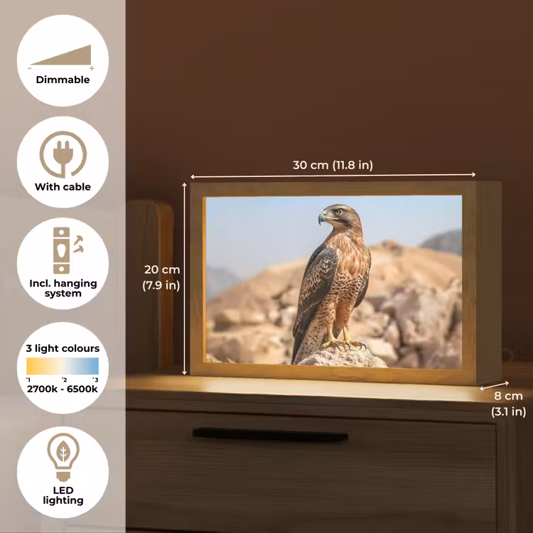 Valk - Vogel - Rots - Macht Light Box met kabel (Tafellamp) klein -USP_EN