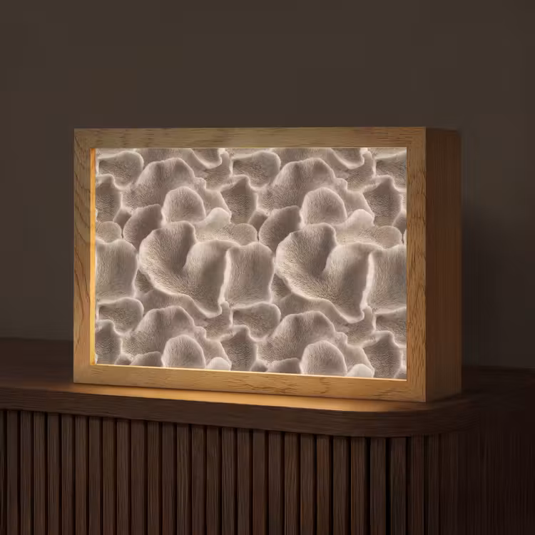 Waaiervorm - Beige - Vezel textuur Light Box met kabel (Tafellamp) klein 924 -z3d_website