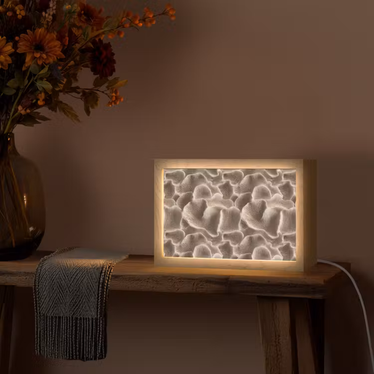 Waaiervorm - Beige - Vezel textuur Light Box met kabel (Tafellamp) klein 924 -sfeer4