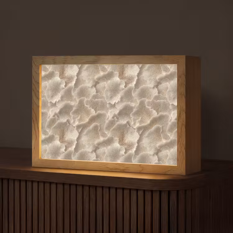 Waaierstructuren - Beige - Vezeltextuur Light Box met kabel (Tafellamp) klein 924 -z3d_website