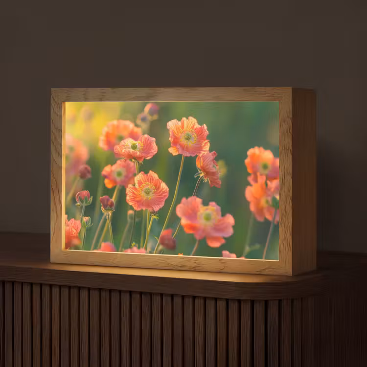 Bloemenveld - Zonnestralen - Oranje Light Box met kabel (Tafellamp) klein -z3d_website