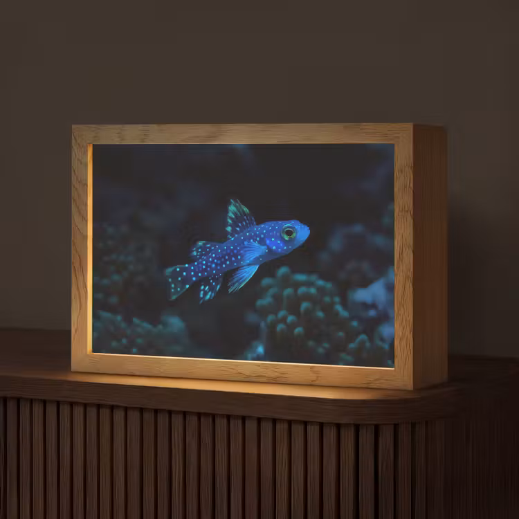 Vis - Stippen - Koraal - Blauw Light Box met kabel (Tafellamp) klein -z3d_website