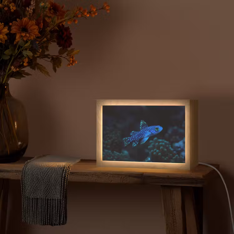 Vis - Stippen - Koraal - Blauw Light Box met kabel (Tafellamp) klein -sfeer4