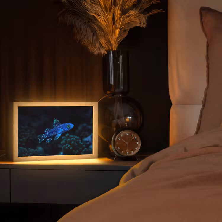 Vis - Stippen - Koraal - Blauw Light Box met kabel (Tafellamp) klein -sfeer1