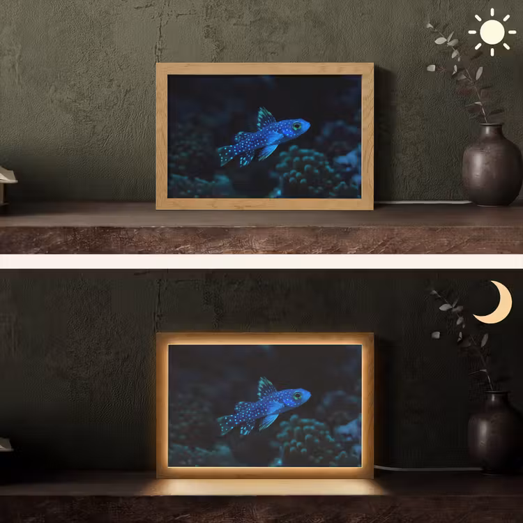 Vis - Stippen - Koraal - Blauw Light Box met kabel (Tafellamp) klein -sfeer3