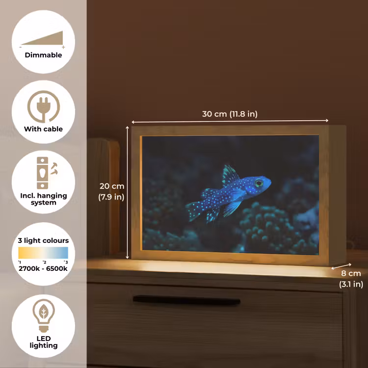 Vis - Stippen - Koraal - Blauw Light Box met kabel (Tafellamp) klein -USP_EN