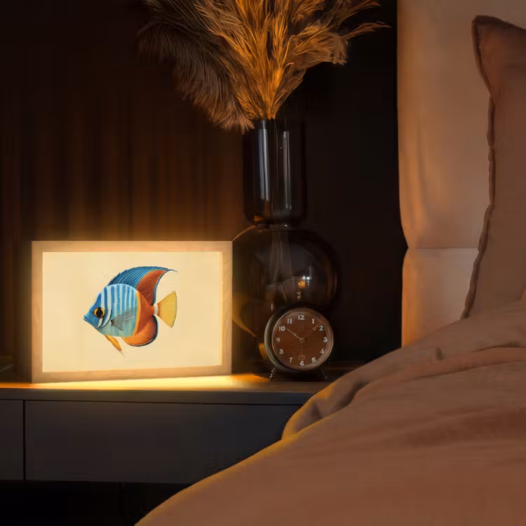 Vis - Vinnen - Blauw - Ogen Light Box met kabel (Tafellamp) klein -sfeer1