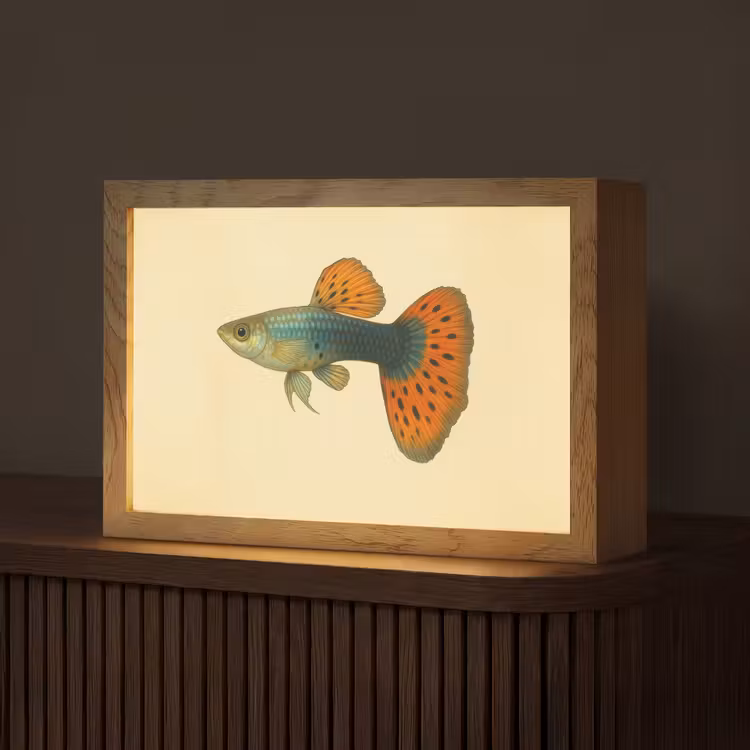 Vis - illustratie - Stippen - Oranje Light Box met kabel (Tafellamp) klein -z3d_website