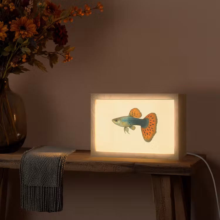 Vis - illustratie - Stippen - Oranje Light Box met kabel (Tafellamp) klein -sfeer4