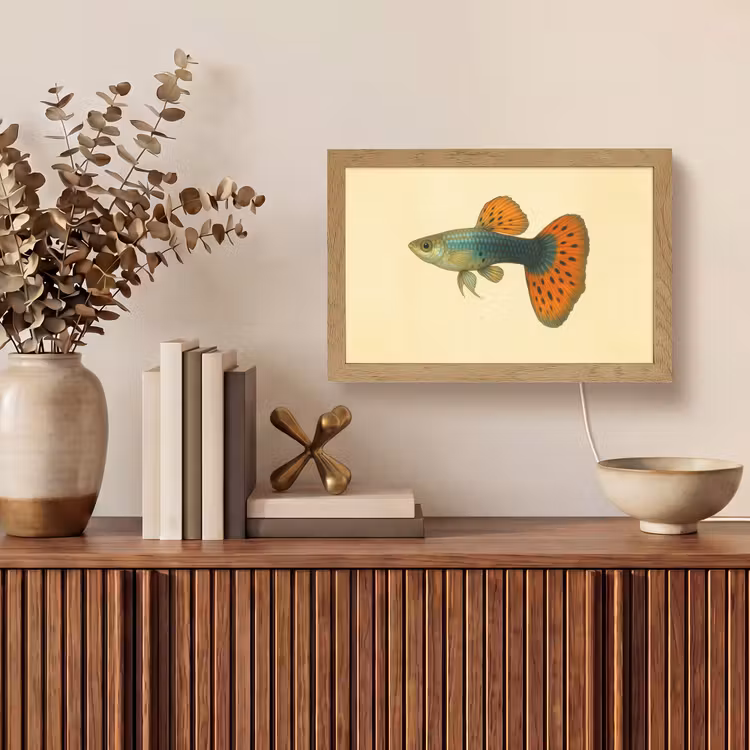 Vis - illustratie - Stippen - Oranje Light Box met kabel (Tafellamp) klein -sfeer2