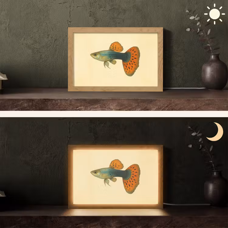 Vis - illustratie - Stippen - Oranje Light Box met kabel (Tafellamp) klein -sfeer3