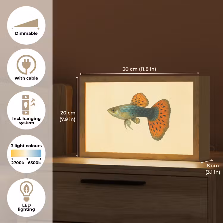 Vis - illustratie - Stippen - Oranje Light Box met kabel (Tafellamp) klein -USP_EN