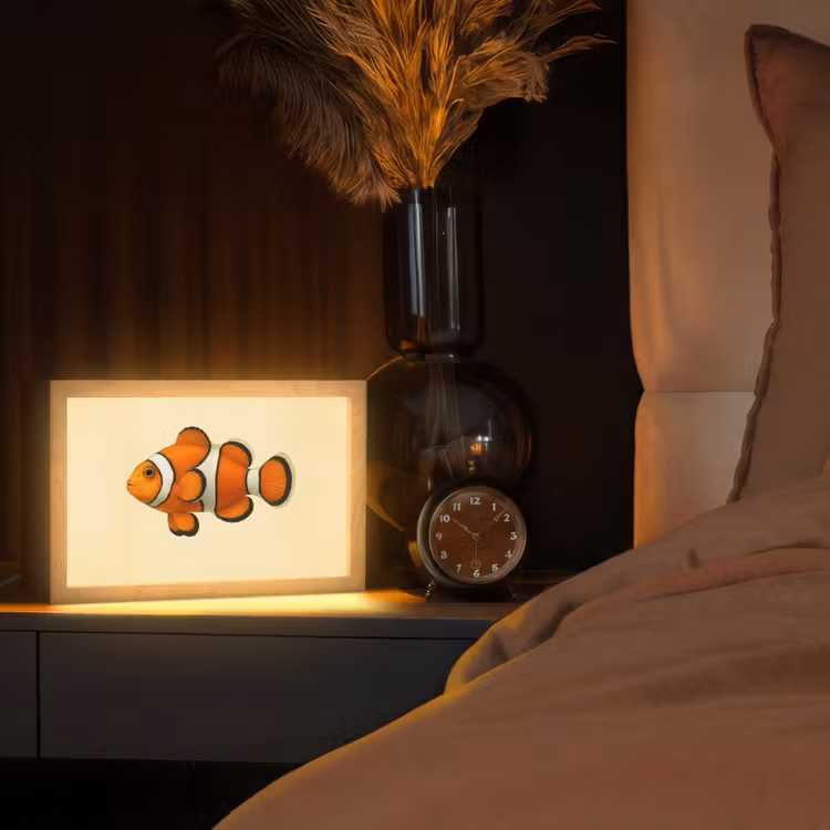 Vis - Oranje - Strepen Light Box met kabel (Tafellamp) klein -sfeer1
