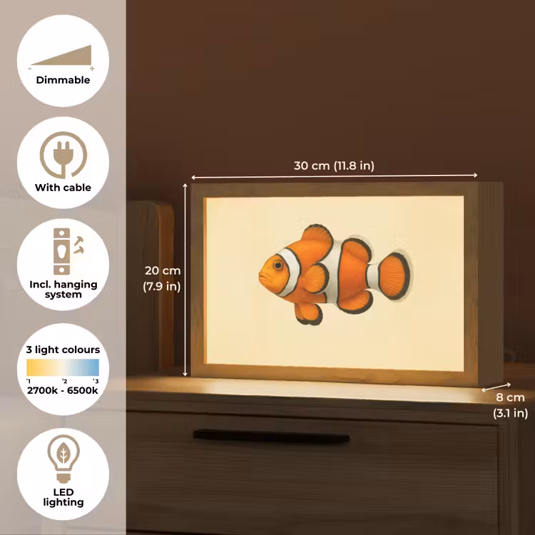 Vis - Oranje - Strepen Light Box met kabel (Tafellamp) klein -USP_EN