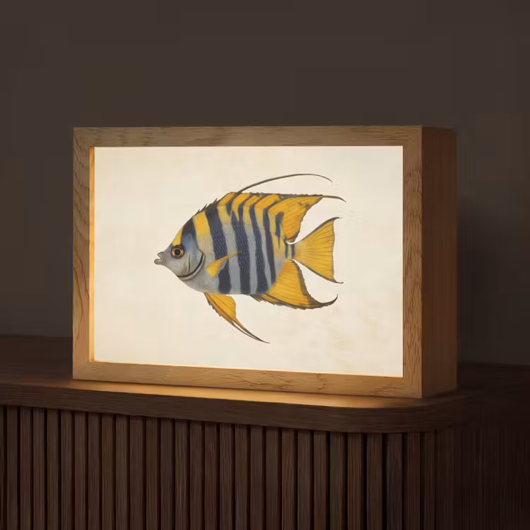 Vis - Sierlijk - Vinnen - Illustratie Light Box met kabel (Tafellamp) klein -z3d_website
