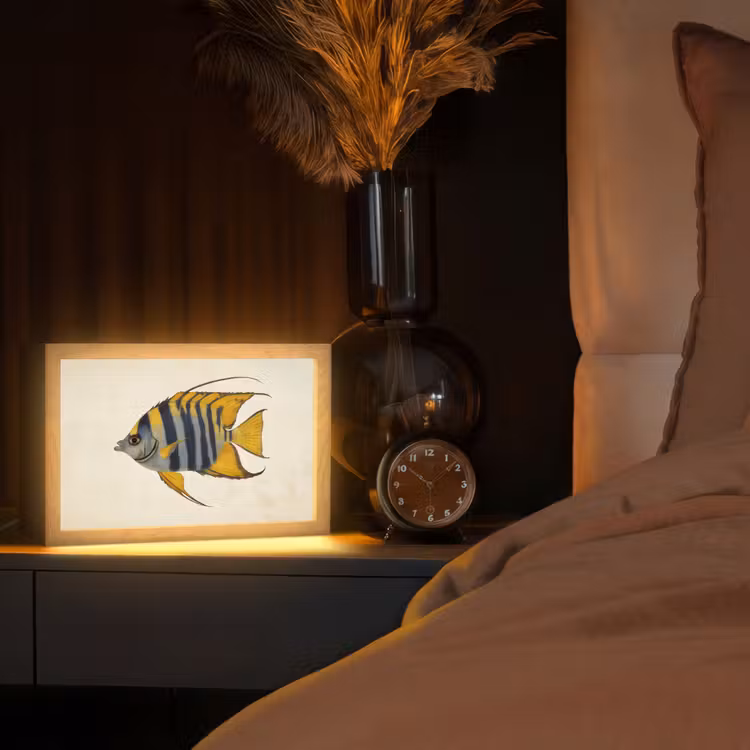 Vis - Sierlijk - Vinnen - Illustratie Light Box met kabel (Tafellamp) klein -sfeer1