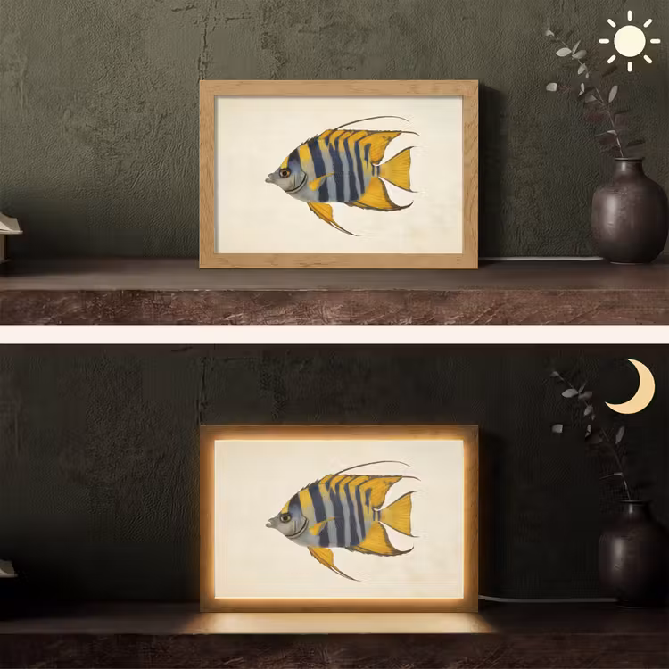 Vis - Sierlijk - Vinnen - Illustratie Light Box met kabel (Tafellamp) klein -sfeer3