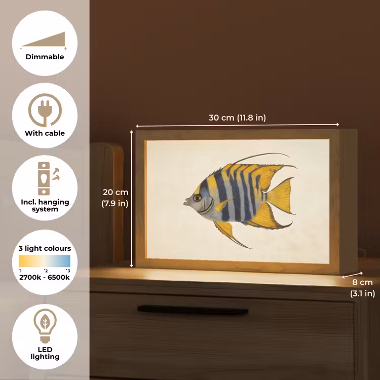 Vis - Sierlijk - Vinnen - Illustratie Light Box met kabel (Tafellamp) klein -USP_EN