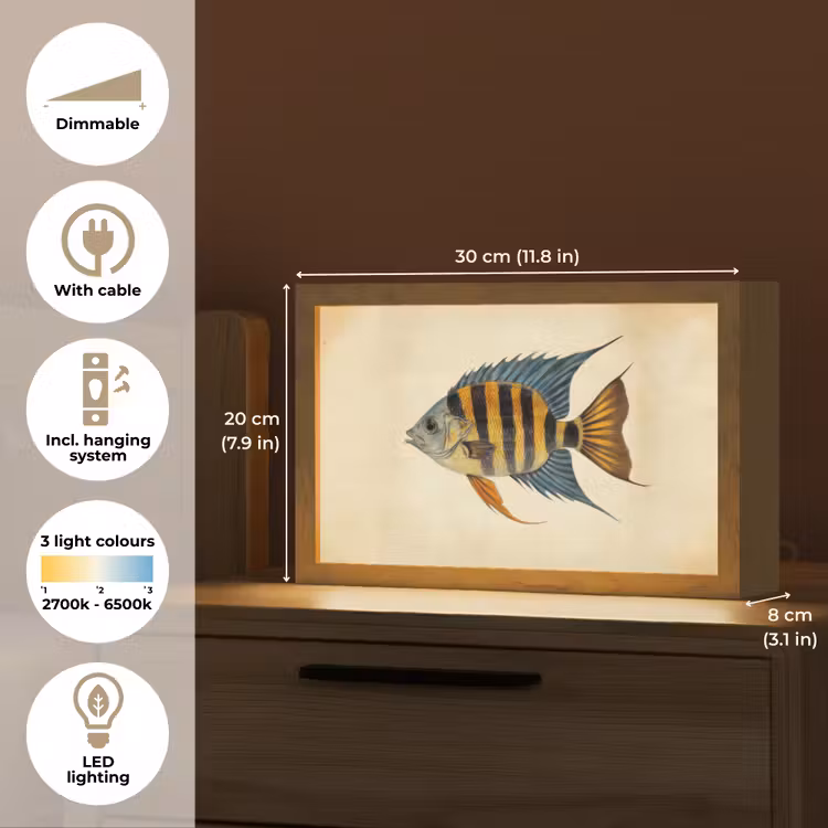 Vis - Tropisch - Strepen - Vinnen Light Box met kabel (Tafellamp) klein -USP_EN