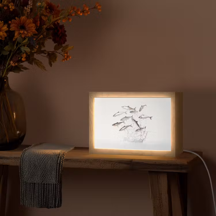 Vissen - Water - Wit Light Box met kabel (Tafellamp) klein -sfeer4