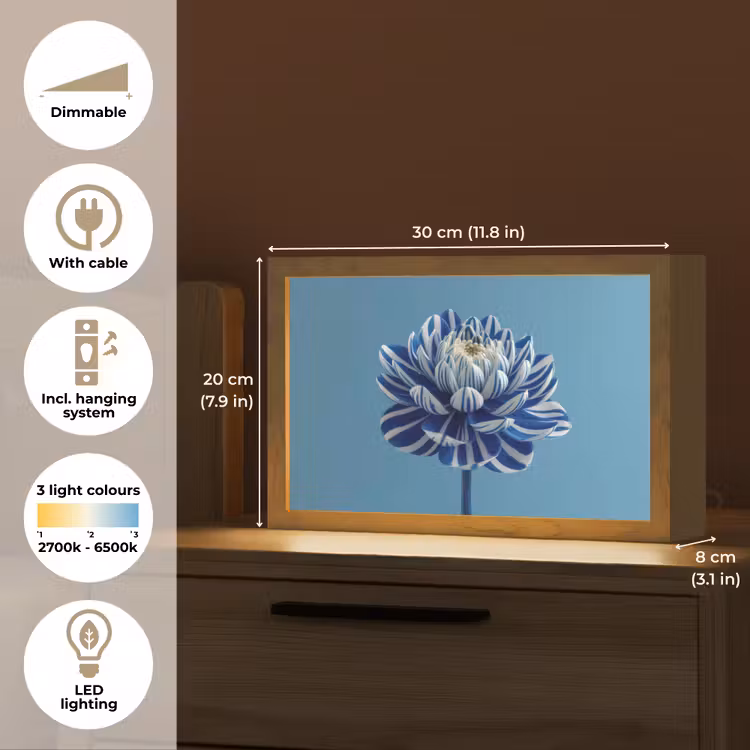 Bloem - Blauw - Bloemblaadjes - Streepjes Light Box met kabel (Tafellamp) klein -USP_EN