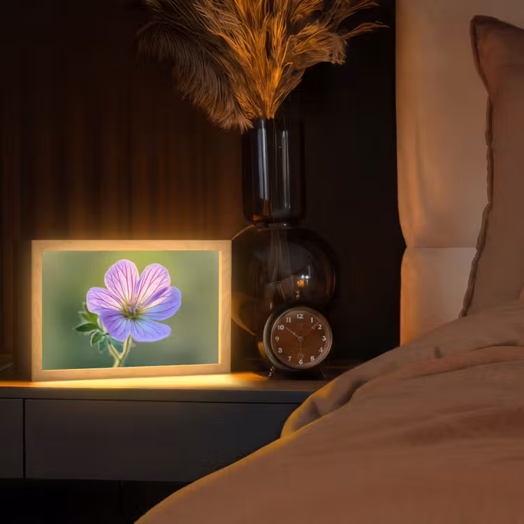 Bloem - Close up - Paars Light Box met kabel (Tafellamp) klein -sfeer1