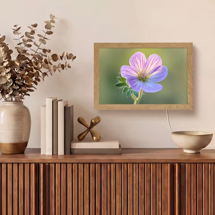 Bloem - Close up - Paars Light Box met kabel (Tafellamp) klein -sfeer2