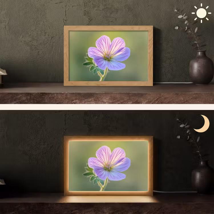 Bloem - Close up - Paars Light Box met kabel (Tafellamp) klein -sfeer3