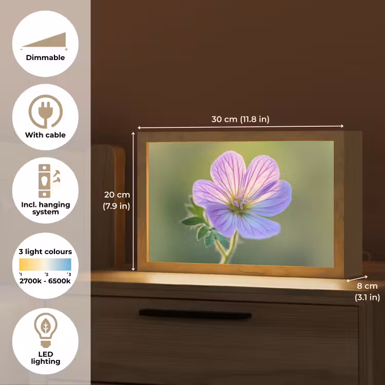 Bloem - Close up - Paars Light Box met kabel (Tafellamp) klein -USP_EN