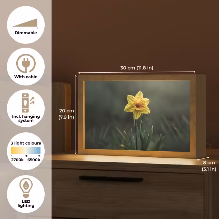 Bloem - Narcis - Gras - Geel Light Box met kabel (Tafellamp) klein -USP_EN