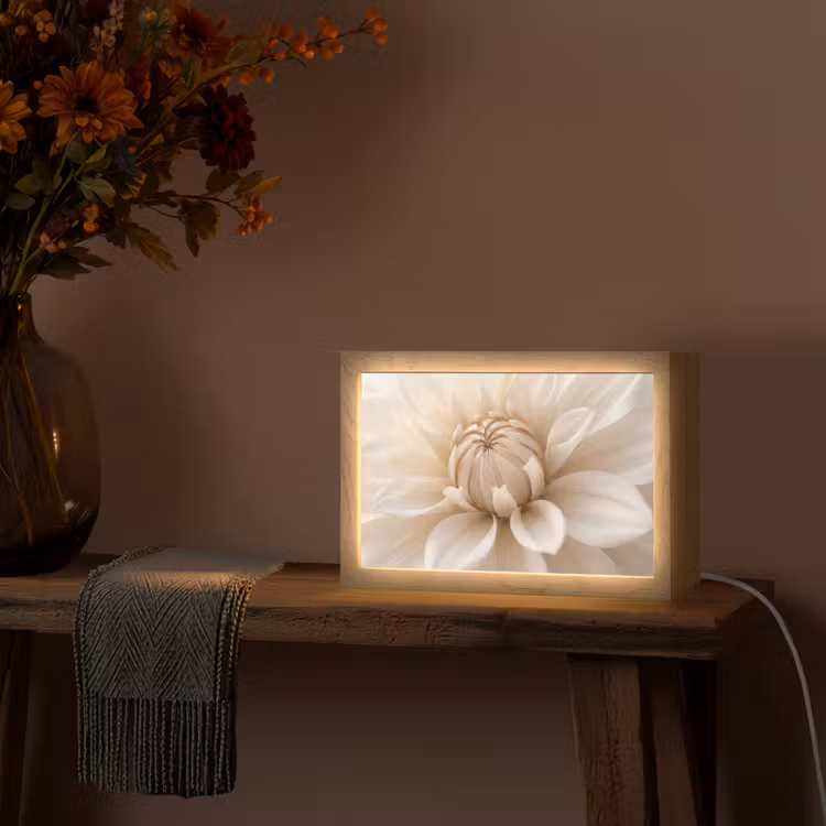 Bloem - Dahlia - Wit Light Box met kabel (Tafellamp) klein -sfeer4