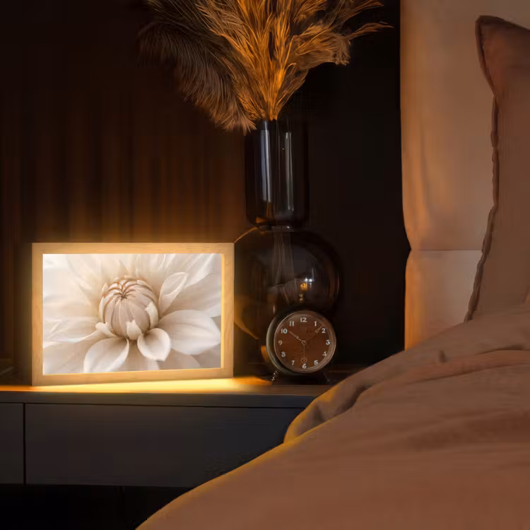 Bloem - Dahlia - Wit Light Box met kabel (Tafellamp) klein -sfeer1