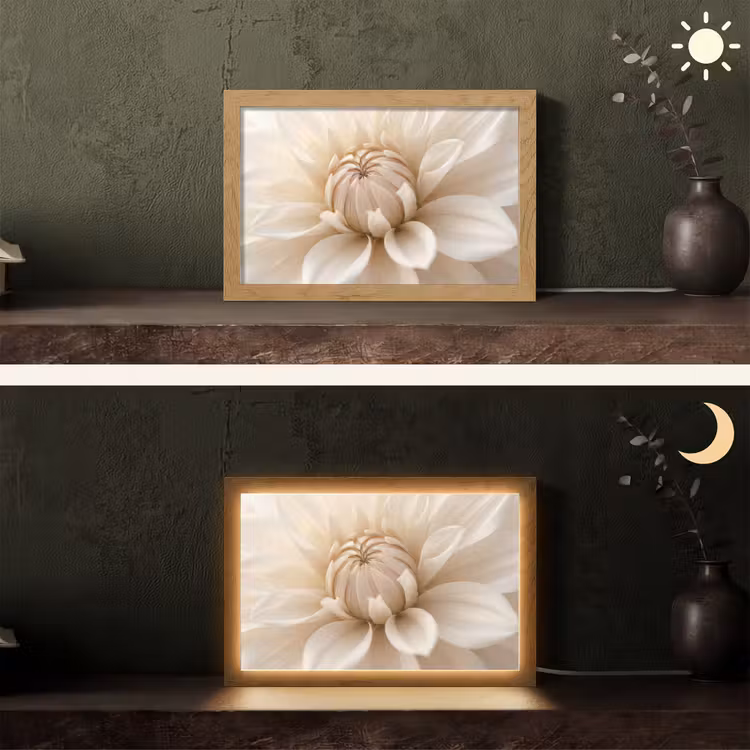 Bloem - Dahlia - Wit Light Box met kabel (Tafellamp) klein -sfeer3