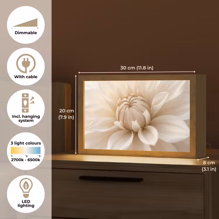 Bloem - Dahlia - Wit Light Box met kabel (Tafellamp) klein -USP_EN