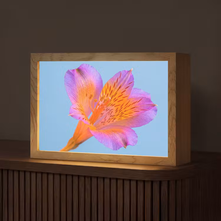 Bloem - Detail - Kleurrijk Light Box met kabel (Tafellamp) klein -z3d_website
