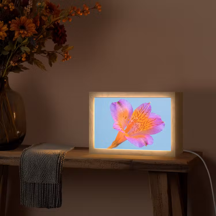 Bloem - Detail - Kleurrijk Light Box met kabel (Tafellamp) klein -sfeer4