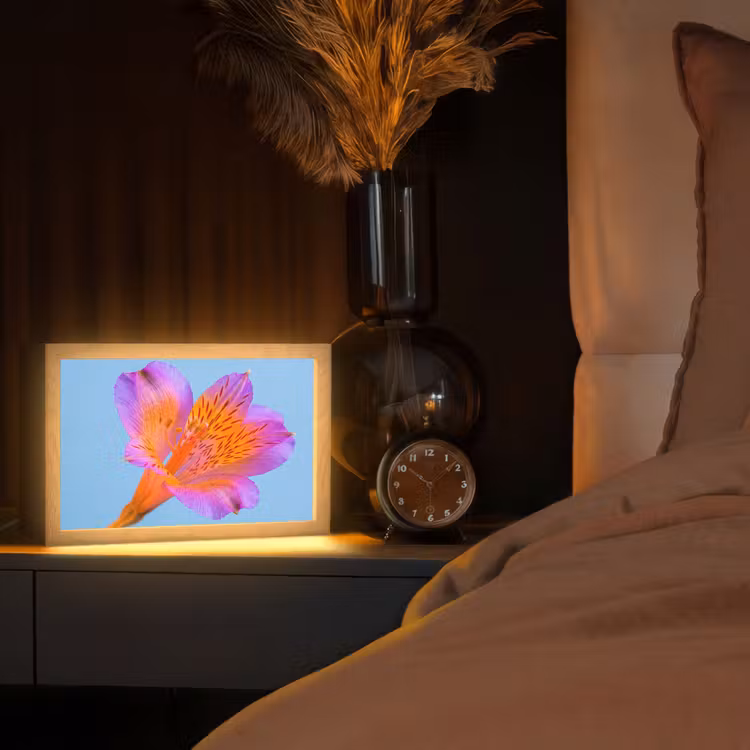 Bloem - Detail - Kleurrijk Light Box met kabel (Tafellamp) klein -sfeer1