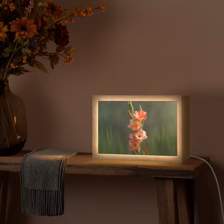 Bloem - Gladiolen - Zalmroze Light Box met kabel (Tafellamp) klein -sfeer4