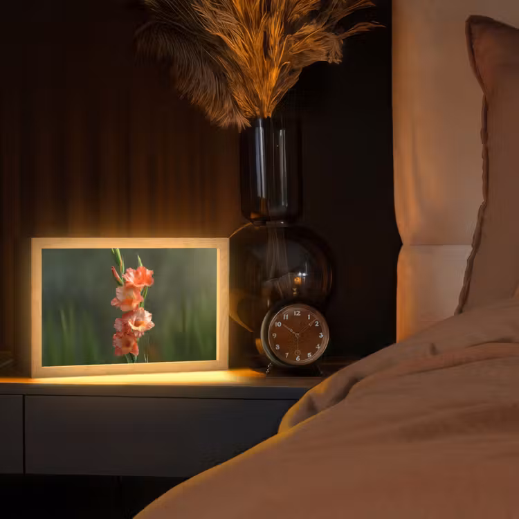 Bloem - Gladiolen - Zalmroze Light Box met kabel (Tafellamp) klein -sfeer1