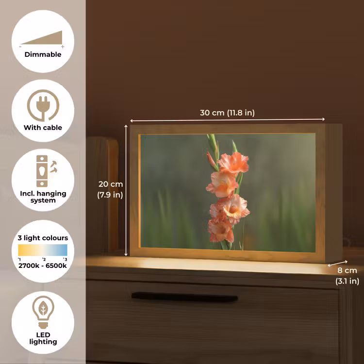 Bloem - Gladiolen - Zalmroze Light Box met kabel (Tafellamp) klein -USP_EN