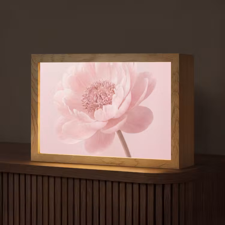 Bloem - Pioenroos - Roze Light Box met kabel (Tafellamp) klein -z3d_website