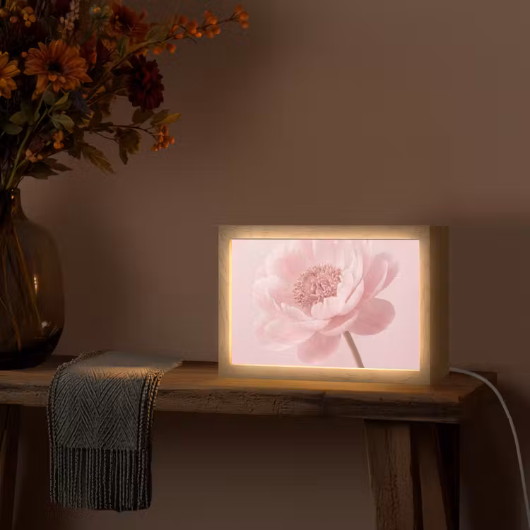 Bloem - Pioenroos - Roze Light Box met kabel (Tafellamp) klein -sfeer4