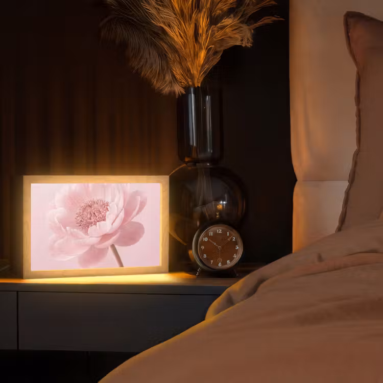 Bloem - Pioenroos - Roze Light Box met kabel (Tafellamp) klein -sfeer1
