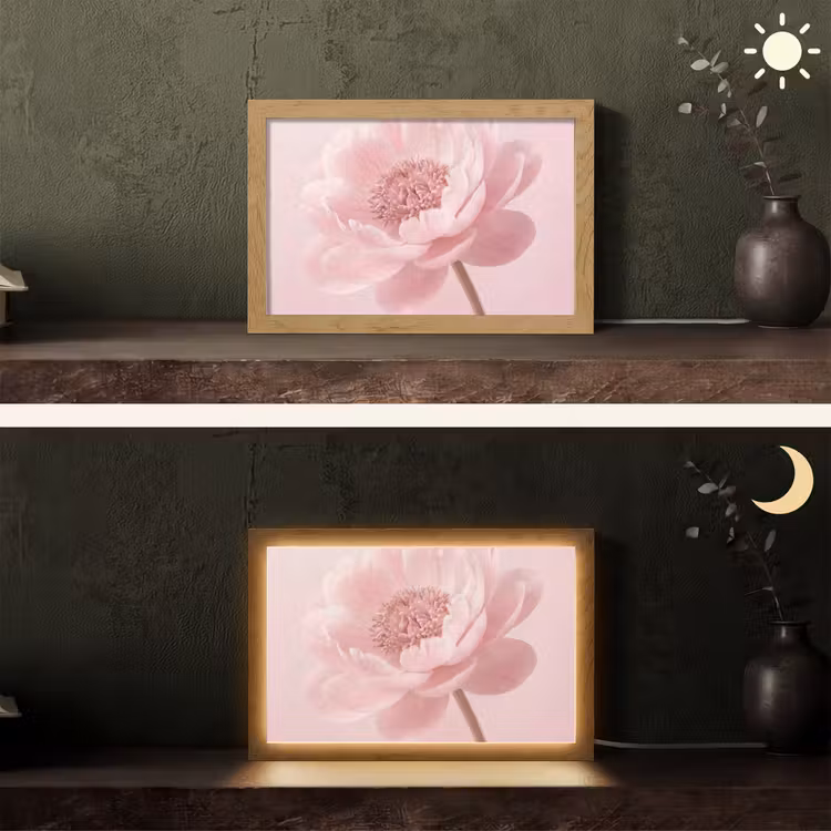 Bloem - Pioenroos - Roze Light Box met kabel (Tafellamp) klein -sfeer3