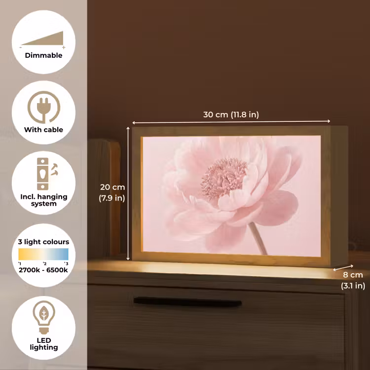 Bloem - Pioenroos - Roze Light Box met kabel (Tafellamp) klein -USP_EN