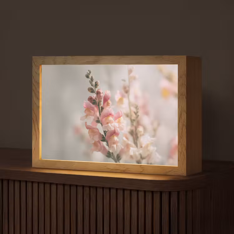 Bloem - Leeuwenbek - Roze - Stengel Light Box met kabel (Tafellamp) klein -z3d_website