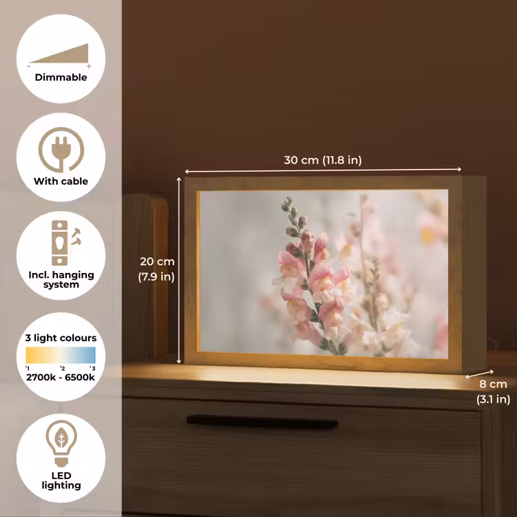 Bloem - Leeuwenbek - Roze - Stengel Light Box met kabel (Tafellamp) klein -USP_EN